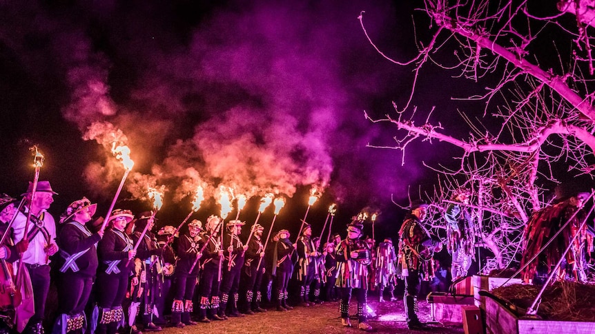A large row of people wearing morris dancing costumes carry fire-lit torches at night.