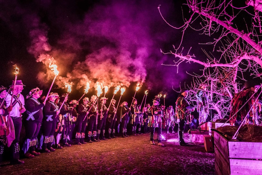 A line of people in morris-dancing costume with bells on their legs hold up flaming torches in a park at night.
