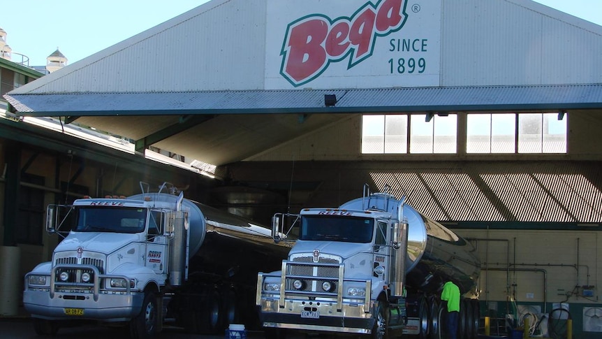 Bega cheese trucks at factory