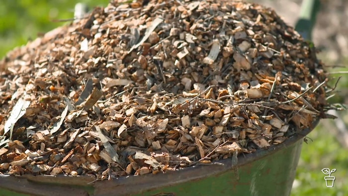 A wheelbarrow filled with wood chips and leaves.