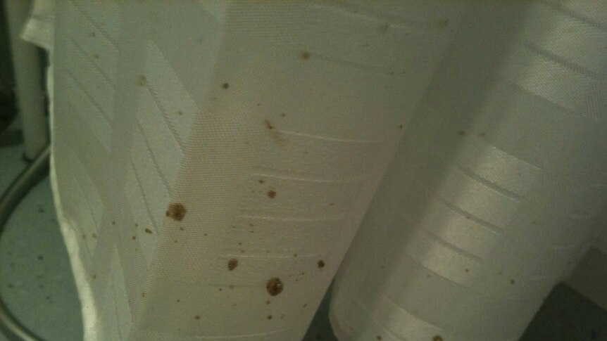 Human faeces on  a shower curtain in an aged care home.