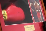 Signed boxing glove of Muhammad Ali in a frame, held at Ipswich City Council.