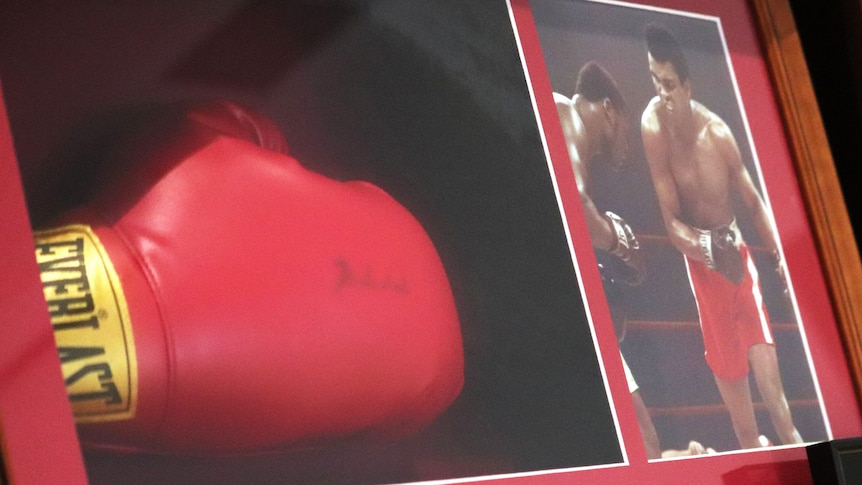 Signed boxing glove of Muhammad Ali in a frame, held at Ipswich City Council.
