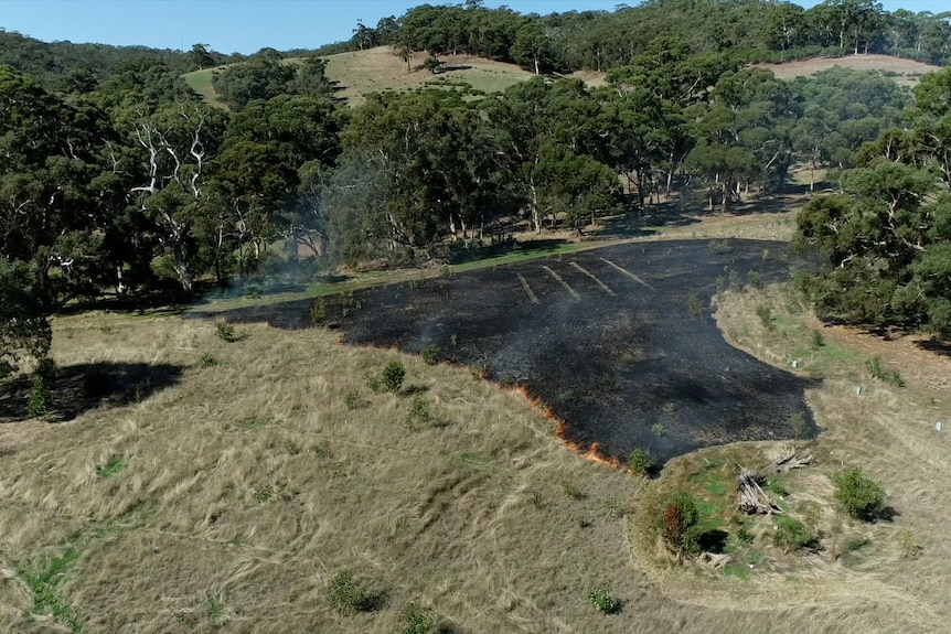 A large grassy hill surrounded by trees, with a large patch of burnt grass visible 