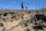 Two people on a flood-damaged farm