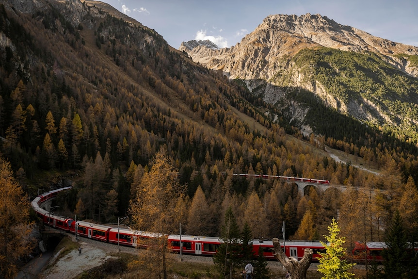 A red train travels between mountains winding between trees