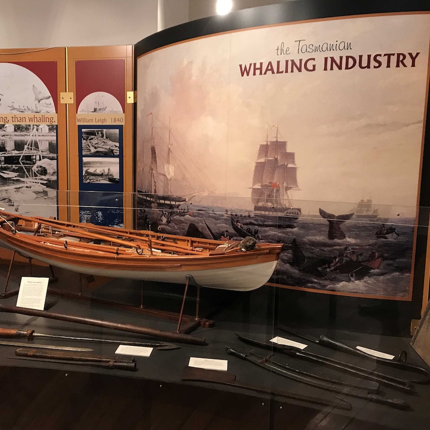 Whaling exhibit at the Hobart Maritime Museum