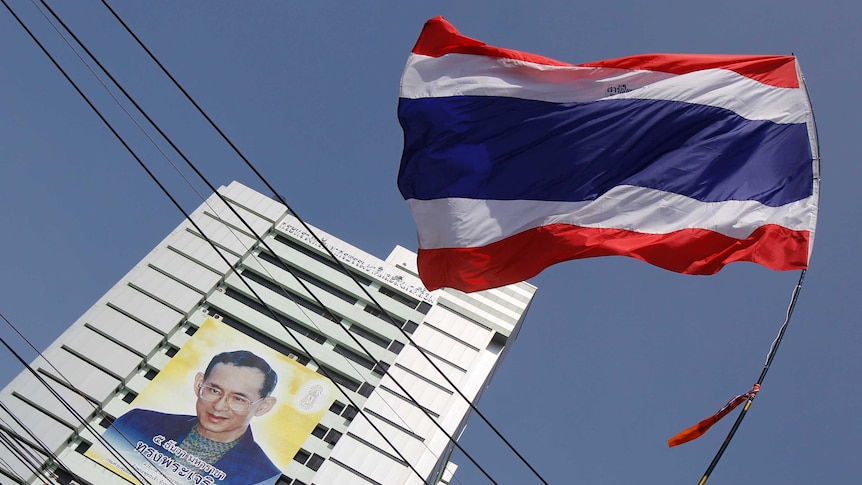 Thailand protester waves flag