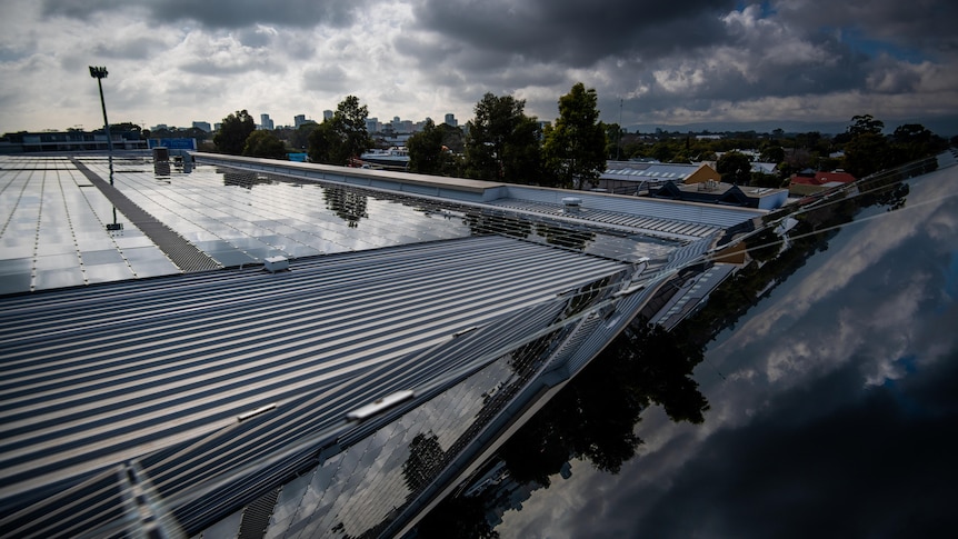 A rooftop filled with solar panels, above is a cloudy grey sky