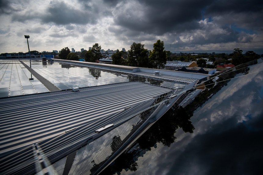 A rooftop filled with solar panels, above is a cloudy grey sky