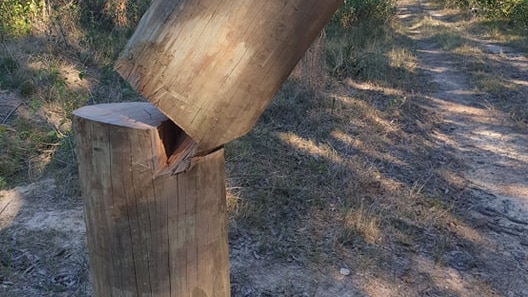 A clean cut is seen on a timber power pole.
