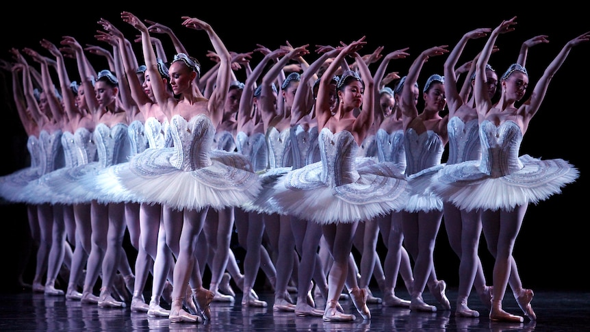 The Australian Ballet perform during a media call for their world premiere production of Swan Lake.