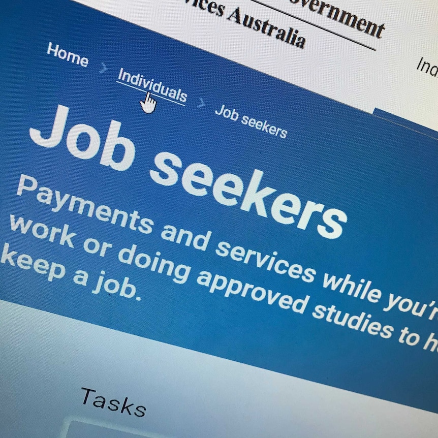 A computer screen showing the word "jobseeker" at the top, with a mouse cursor overing over the "individuals" option.