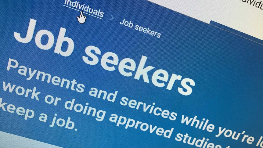 A computer screen showing the word "jobseeker" at the top, with a mouse cursor overing over the "individuals" option.