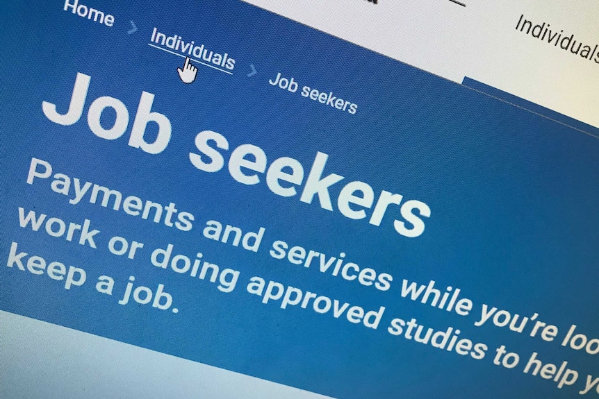 A computer screen showing the word "jobseeker" at the top, with a mouse cursor overing over the "individuals" option.