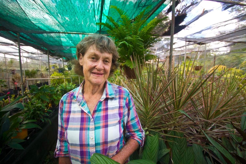 A woman standing in the middle of a greenhouse