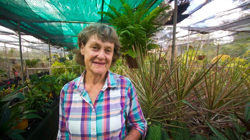 A woman standing in the middle of a greenhouse