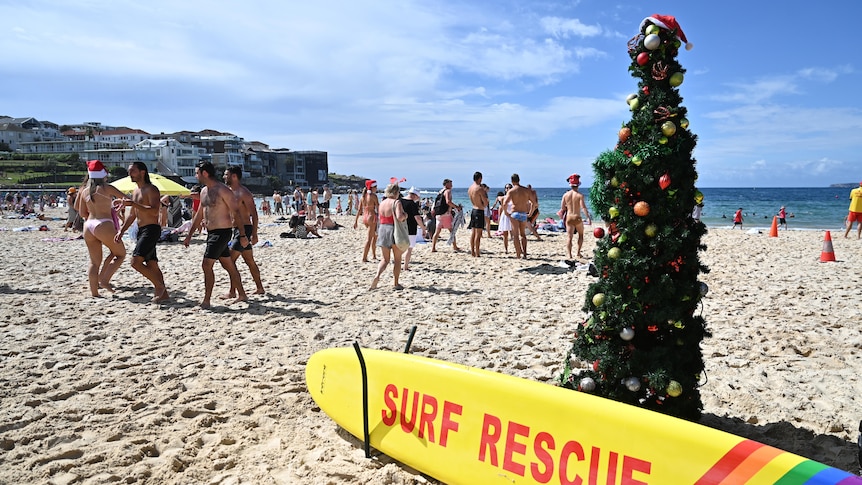 A Christmas tree on a beach with a lifeguard's paddleboard propped up beside it.