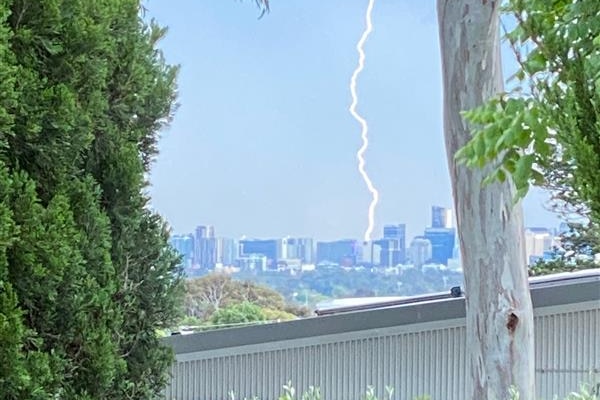 Lightning hitting tall buildings with a tree in front