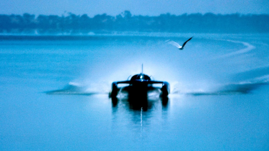 A blue speed boat and a seagull on a lake.