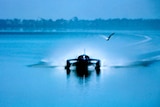 A blue speed boat and a seagull on a lake.