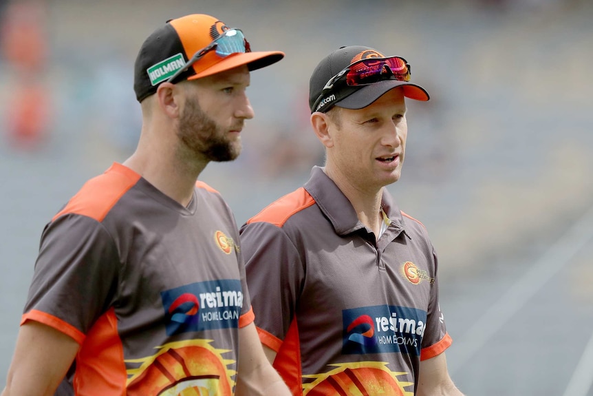 A mid shot of Andrew Tye and Adam Voges side by side wearing Perth Scorchers shirts and hats.