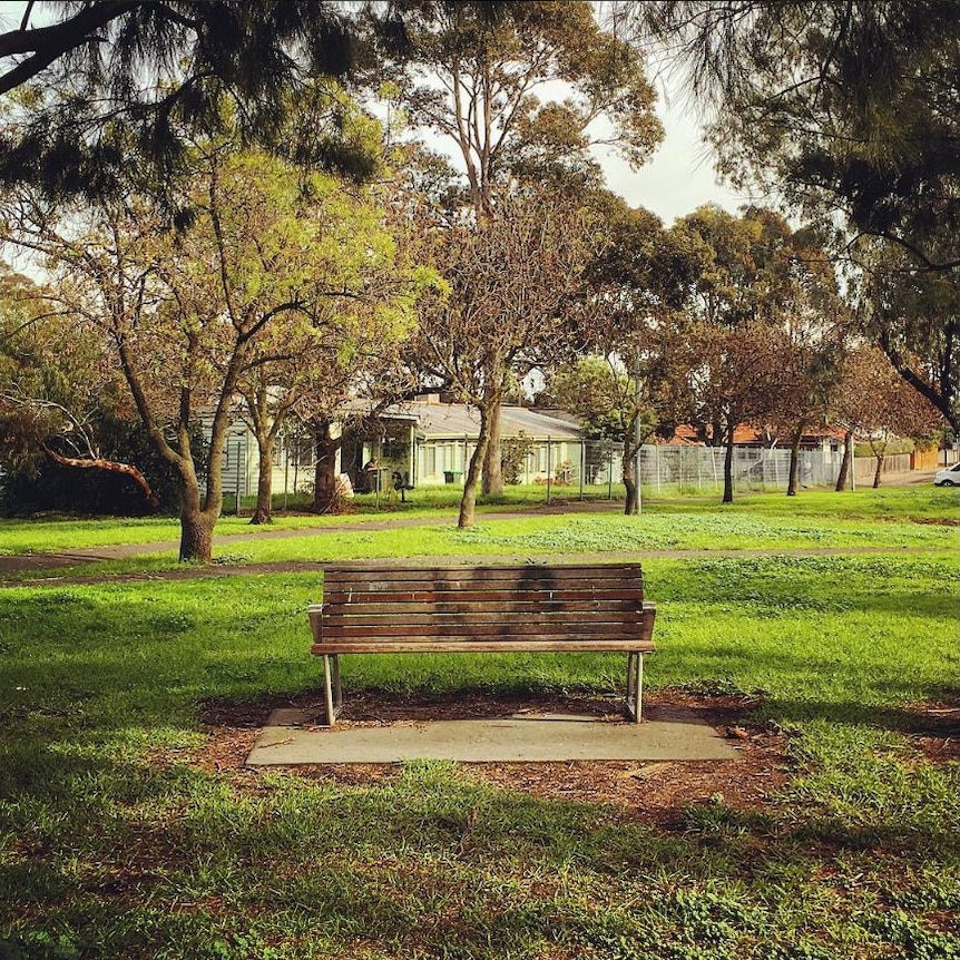 A park bench surrounded by trees.