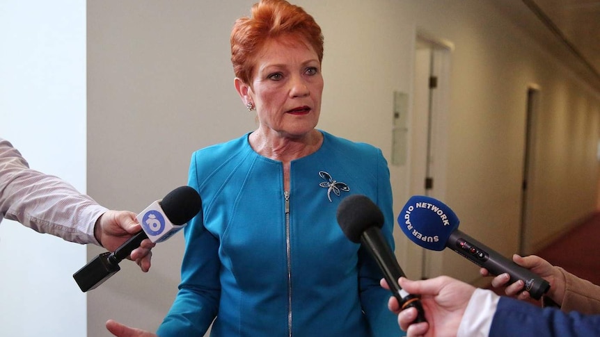 Pauline Hanson speaks to journalists.