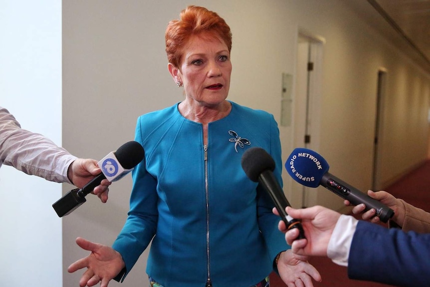 Pauline Hanson speaks to journalists.