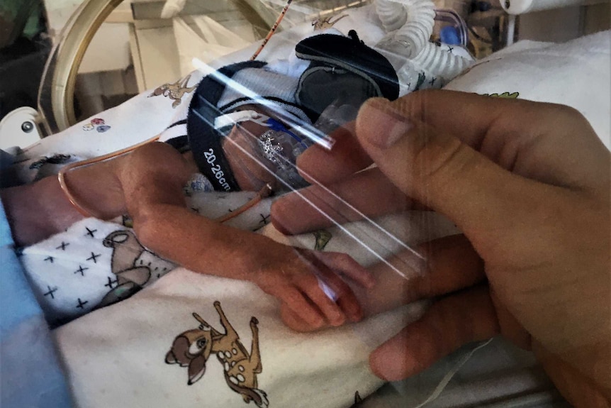 A tiny baby in an incubator reaching out and touching a human finger.