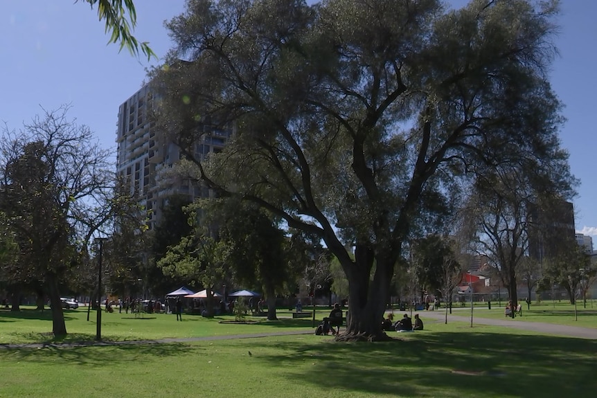 Marquees among trees and a park in the CBD