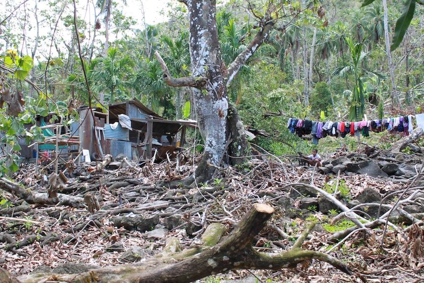 Damaged caused by Typhoon Maysak