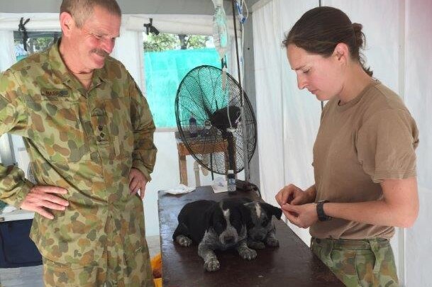 Lt Col Harris and Private Midgelow with a homeless puppy which has since been adopted.