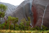Rain creates instant waterfalls on the huge rock face of Uluru
