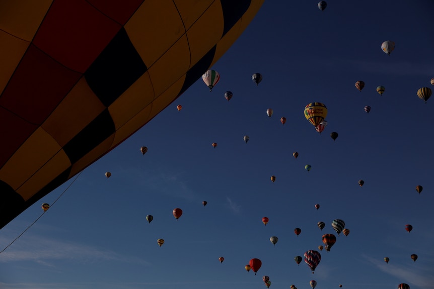 Dozens of hot air balloons float in the sky