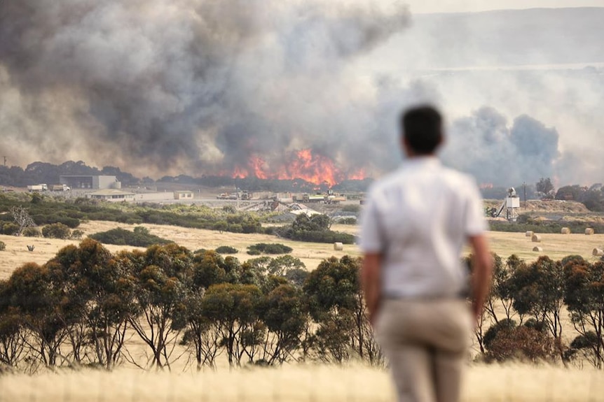 Fire in the background with a man standing looking on