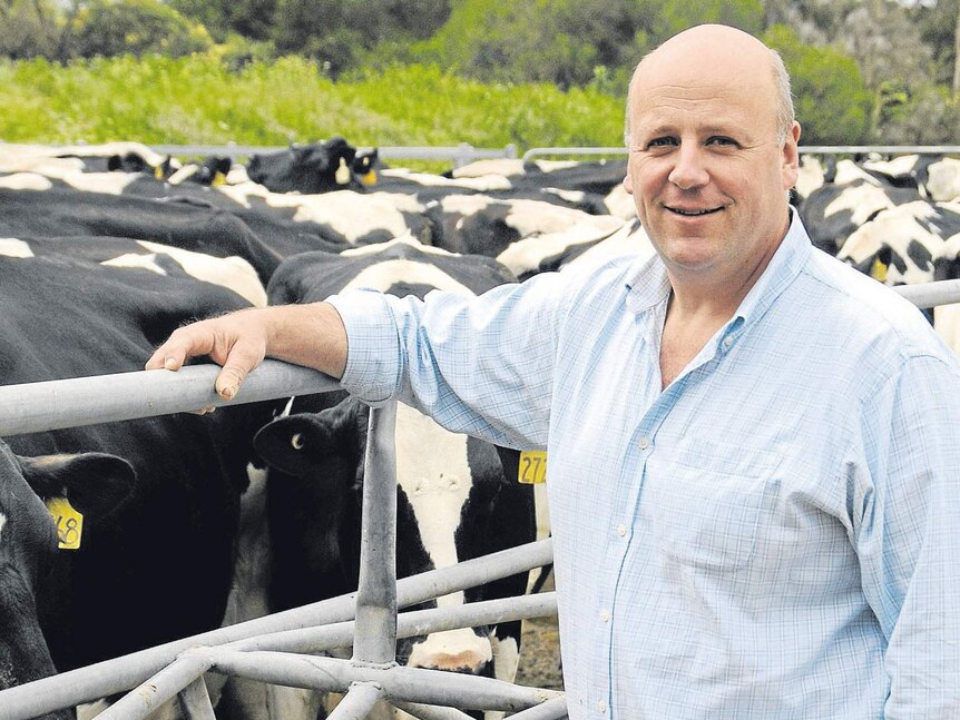 South Australian dairy farmer and Australian Dairy Farmers president David Basham stands in front of a herd of cows.