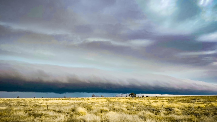 A horizontal line of clouds rolling across the sky above a clear paddock