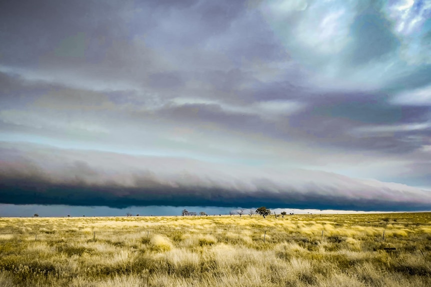 A horizontal line of clouds rolling across the sky above a clear paddock