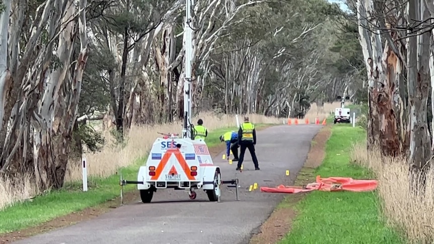 Four young lives lost after driver hits tree near Hamilton in western Victoria - ABC News