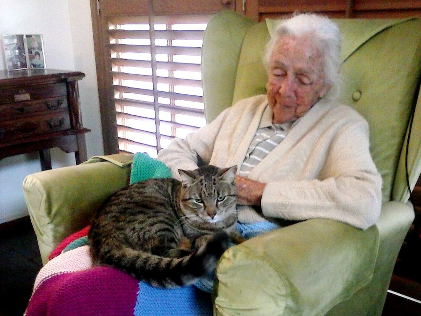 An elderly woman sits in a chair with a cat on her lap.