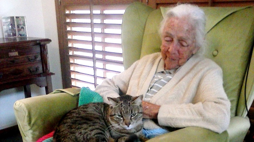 An elderly woman sits in a chair with a cat on her lap.