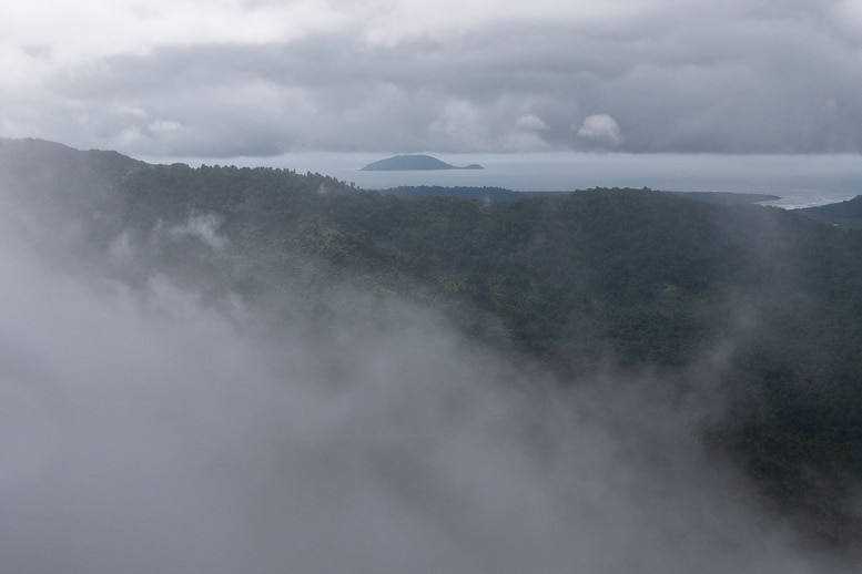 view of trees, sea and island