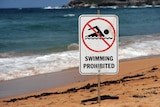 Swimming prohibited sign at Avalon Beach