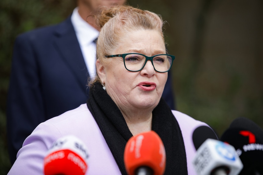 Sue Ellery wears a pastel coloured top and a black scarf as she speaks at a press conference