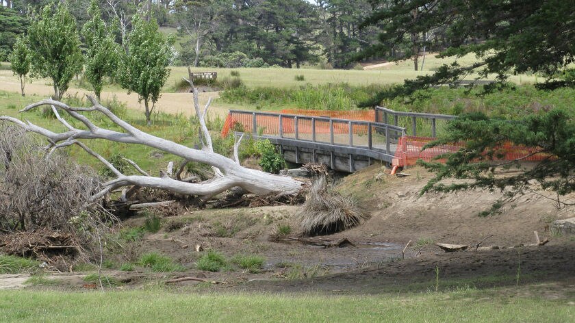 A closed bridge and fallen tree on Maria Island after heavy rain.