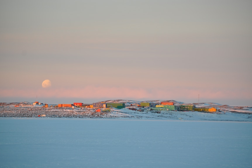 A wide shot of the colourful huts of Davis Station in Antarctica amid white snow.