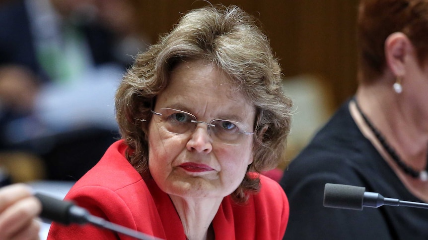 Frances Adamson looks to her side while sitting in front of microphones