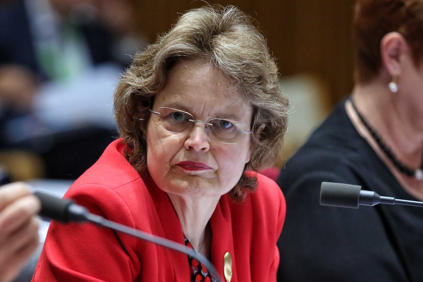 Frances Adamson looks to her side while sitting in front of microphones