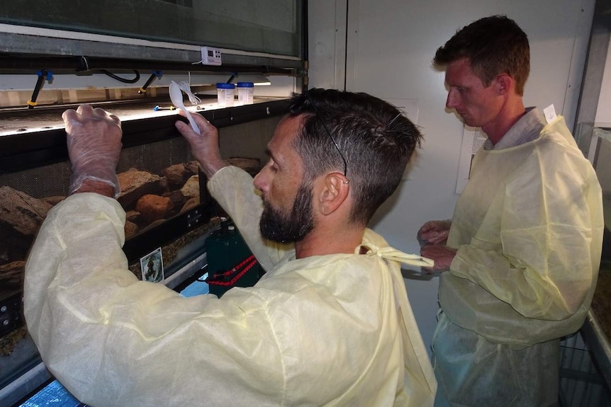 Two men in lab coats stand in front of a frog tank